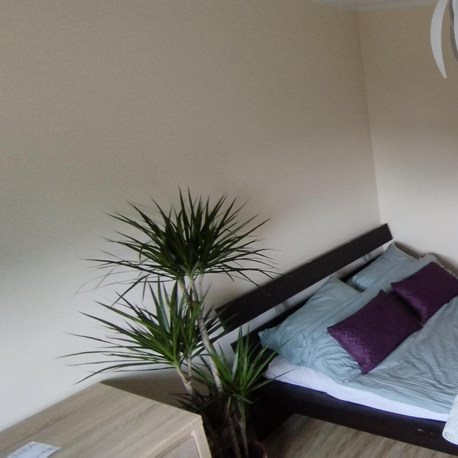 Apartament A8 Gdynia Orlowo Exterior foto